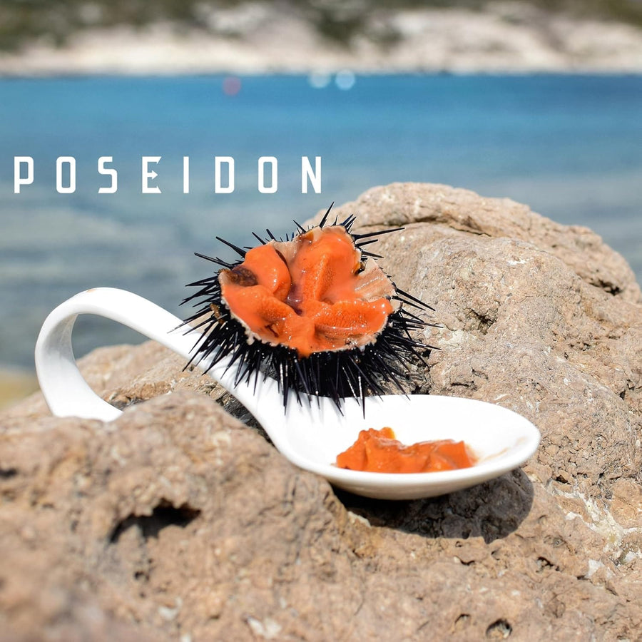 Poseidon Sea urchin pulp -UNI Pulp - Imported from Italy (2.4 oz [70 g])